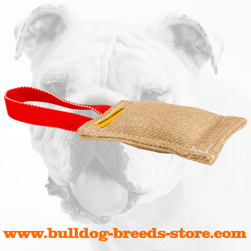 Jute Bulldog Bite Tug with one Handle
