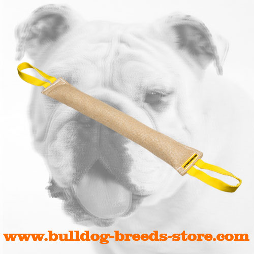 Strong Jute Bulldog Bite Tug