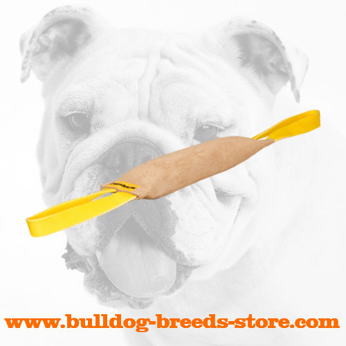 Sturdy Leather Bulldog Bite Tug with Two Handles
