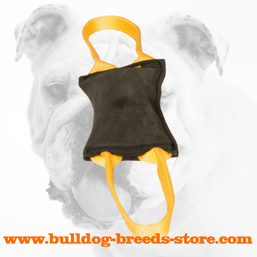 Strong Leather Bulldog Bite Tug with Handles