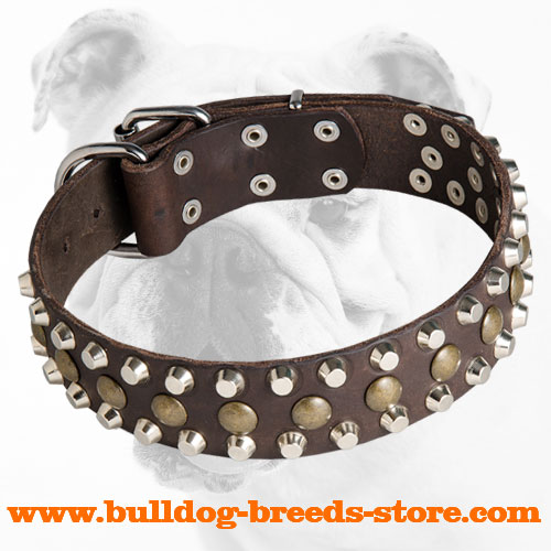 Reliable Leather Bulldog Collar with Brass Studs and Nickel Pyramids