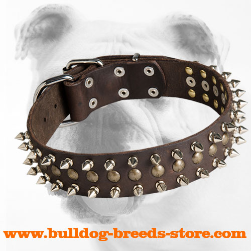 Trendy Leather Bulldog Collar with Spikes and Studs