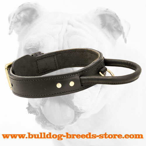 Dog training collar with handle for Bulldog trainings - Click Image to Close