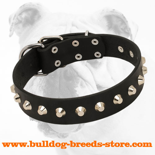 Luxury Hand-Made Leather Bulldog Collar with Nickel Pyramids
