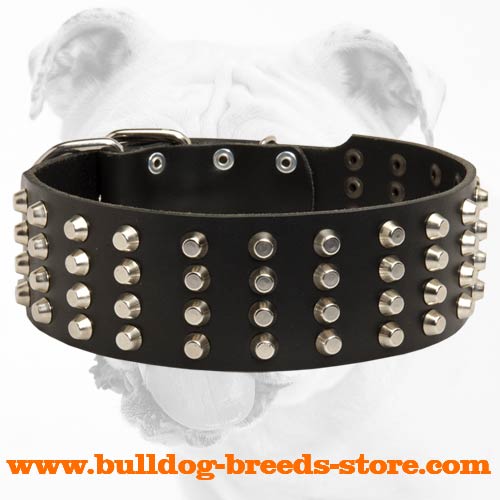 Wide Studded Leather Bulldog Collar for Training