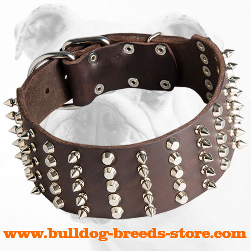 3 inch Spiked and Studded Leather Bulldog Collar