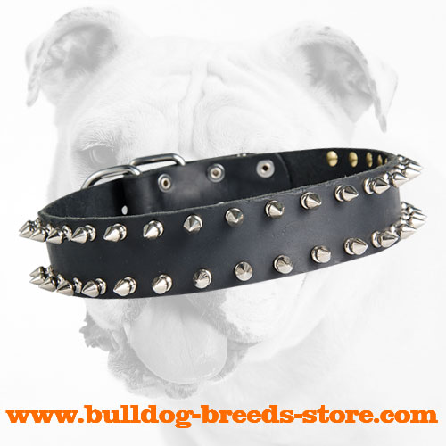 Fabulous Spiked Leather Bulldog Collar with 2 Rows of Spikes
