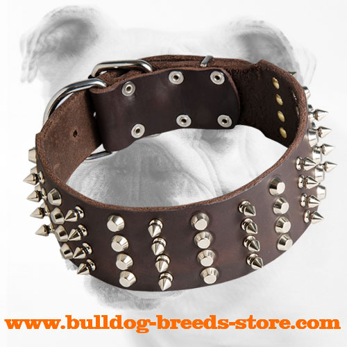 Unique Leather Bulldog Collar with Spikes and Pyramids