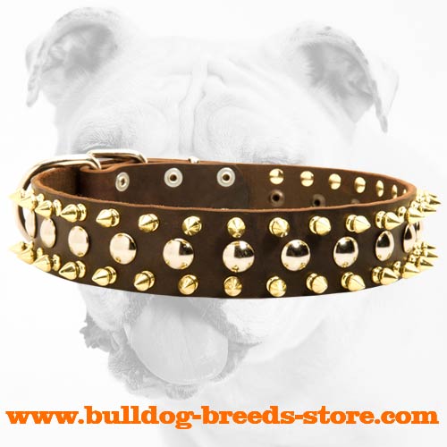 Practical Leather Bulldog Collar with Nickel Studs and Brass Spikes