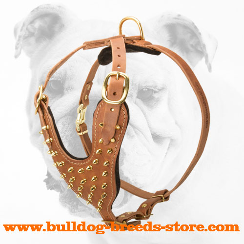 Deluxe Brass Leather Spiked Dog Harness