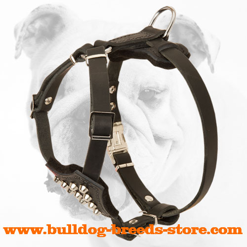 Hand-Decorated Top Quality Leather Bulldog Harness for Puppies