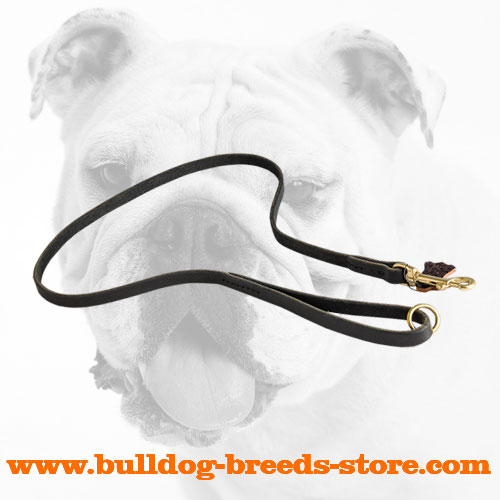 Hand-Made Leather Bulldog Leash for Daily Walking