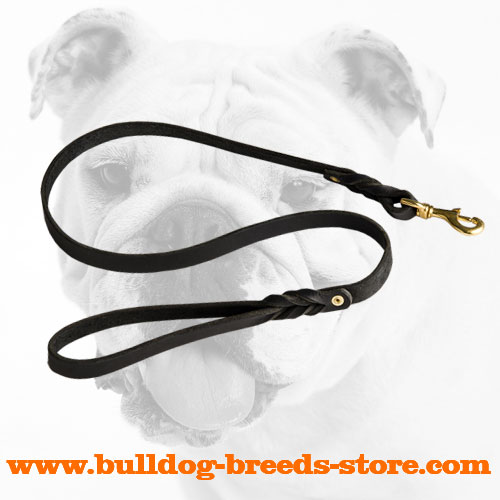 Hand-decorated Leather Bulldog Leash for Walking