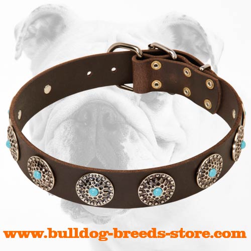 Tan Leather Dog Collar with Silver Plated Circles Blue Stones