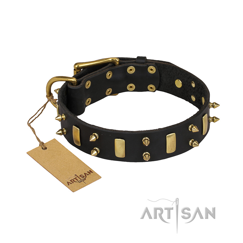 "Medieval Style" FDT Artisan Leather Bulldog Collar with Brass Plates and Spikes
