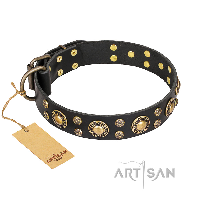'Baroque Chic' FDT Artisan Studded Black Leather Bulldog Collar