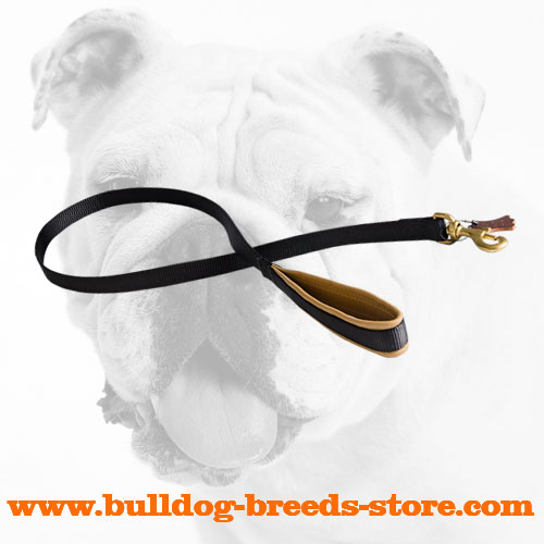 Excellent Nylon Bulldog Leash with Soft Padded Handle