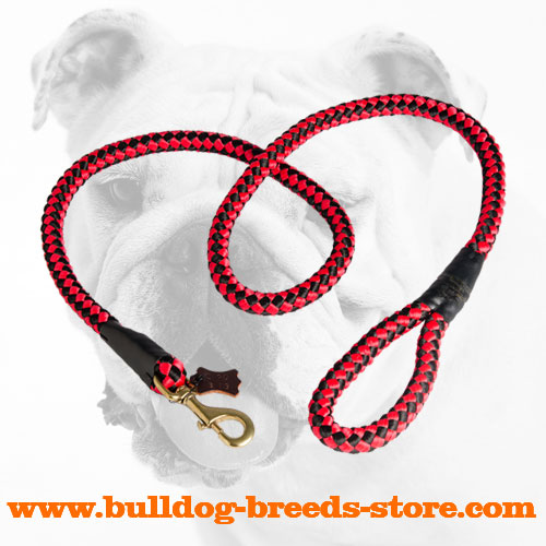 Cord Nylon Bulldog Leash with Strong Brass Snap Hook