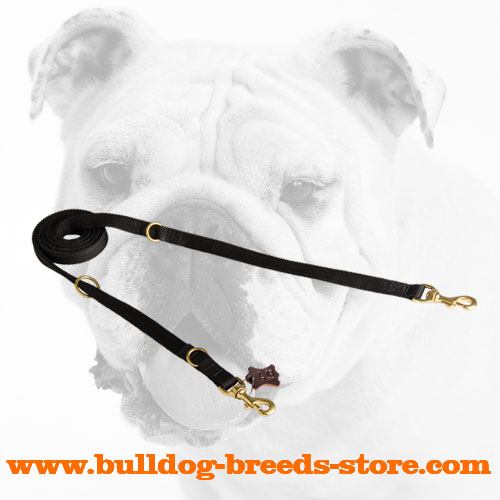 Multifunctional Nylon Bulldog Leash for Pleasant Walking - Click Image to Close