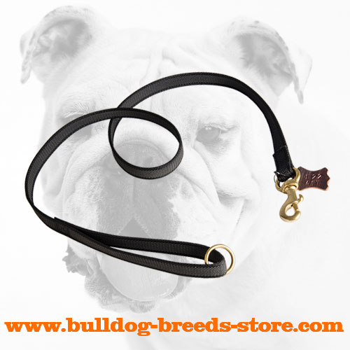 Practical High Quality Training Nylon Bulldog Leash - Click Image to Close
