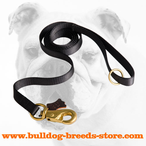Practical All Weather Nylon Bulldog Leash for Walking