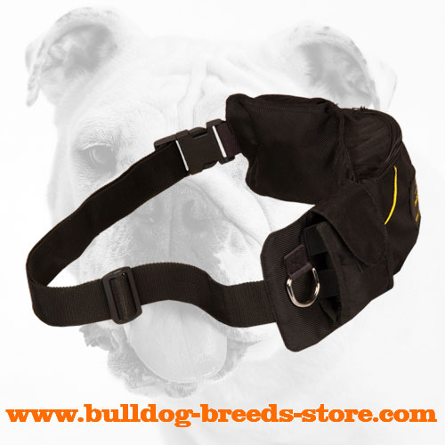 Nylon Bulldog Pouch with Three Pockets and Waist Strap