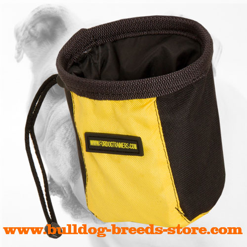 Water-Resistant Nylon Treat Bag for Bulldog