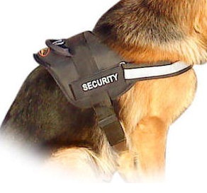 Adjustable Nylon Patrol Harness for Bulldog