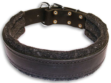 Leather dog collar with thick felt for all breeds - 1.5" width
