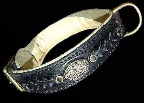 BullTerrier Royal Nappa Padded Hand Made Leather dog collar
