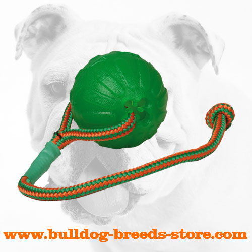 bulldog chew toys
