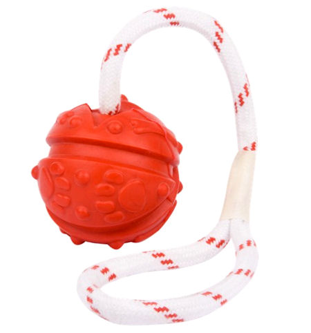 Similar to Everlasting Fun Ball on a Rope for Bulldog