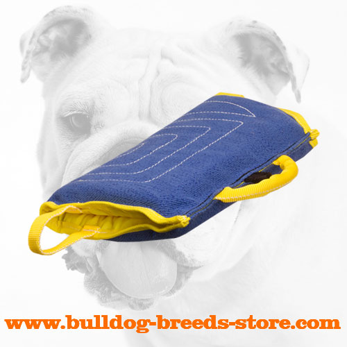 Soft French Linen Bulldog Sleeve for Puppy Training