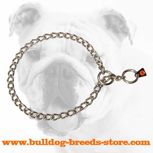 Stainless Steel Bulldog Choke Collar for Walking