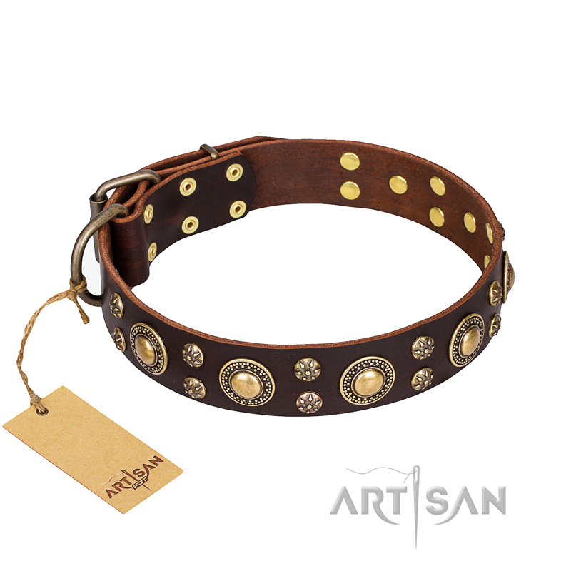 'Flower Melody' FDT Artisan Brown Leather Dog Collar with Mixed Studs for Bulldog Breeds Daily Use