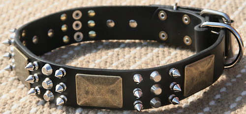 Best Spiked Leather Dog Collar-brass massive plates&spike