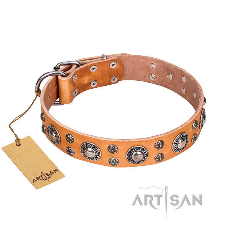 'Extra Sparkle' FDT Artisan Bulldog Tan Leather Dog Collar