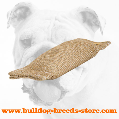 Jute Bulldog Bite Tug with no Handles - Click Image to Close