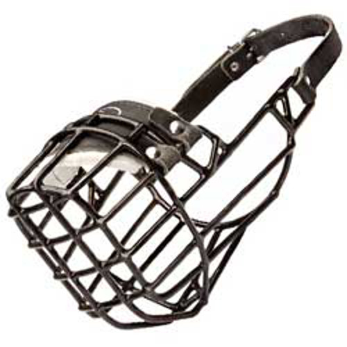 Padded Bulldog Wire Cage Muzzle for Winter Activities