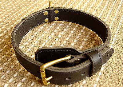Two ply leather agitation dog collar- no handle-C33NH