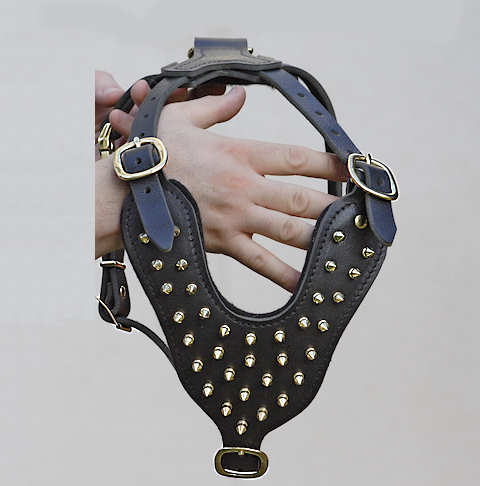 Deluxe Brass leather spiked dog harness-handmade spiked harness