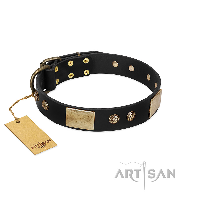 "Antique Gloss" FDT Artisan Black Leather Bulldog Collar with Bronze-like Plates and Small Studs