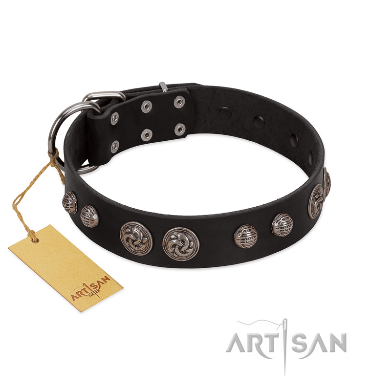 "Tricky Ricky" FDT Artisan Black Leather Bulldog Collar Adorned with Silver-Like Conchos