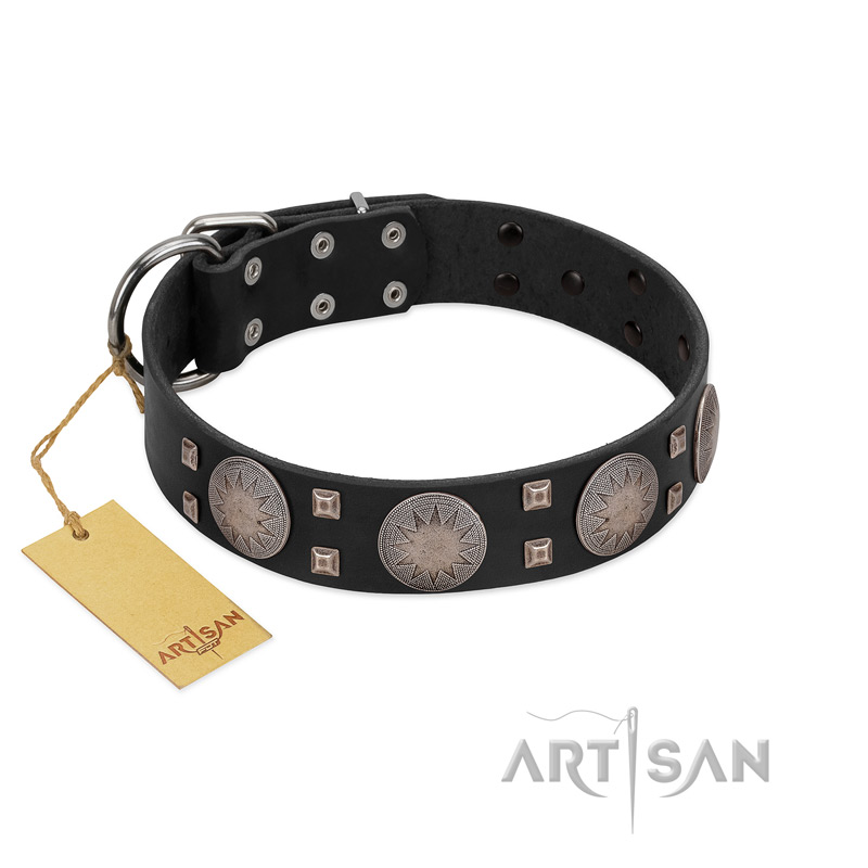 "Sun in Shining" Modern FDT Artisan Black Leather Bulldog Collar with Studs and Stars - Click Image to Close