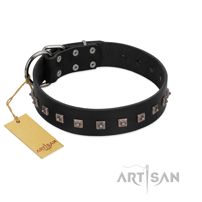 "Natural Beauty" Premium Quality FDT Artisan Black Designer Bulldog Collar with Dotted Studs