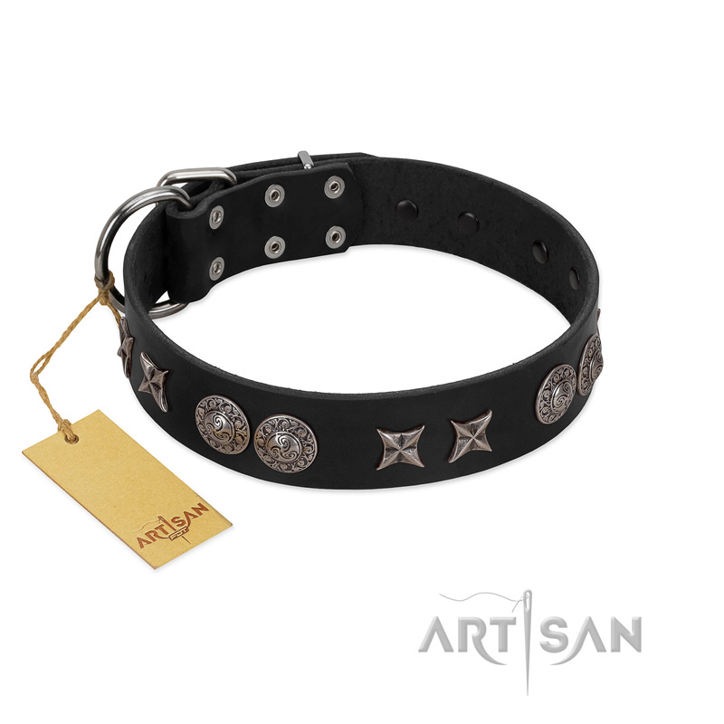"Scythian Silver" Stylish Handmade FDT Artisan Black Leather Bulldog Collar