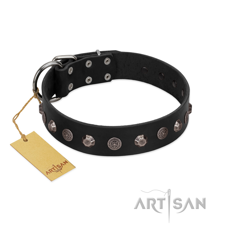 "Black Knight" Handmade FDT Artisan Black Leather Bulldog Collar with Silver-Like Studs - Click Image to Close