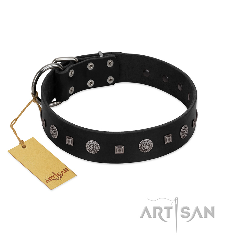 "Mr. Elegance" Designer FDT Artisan Black Leather Bulldog Collar with Silver-Like Studs