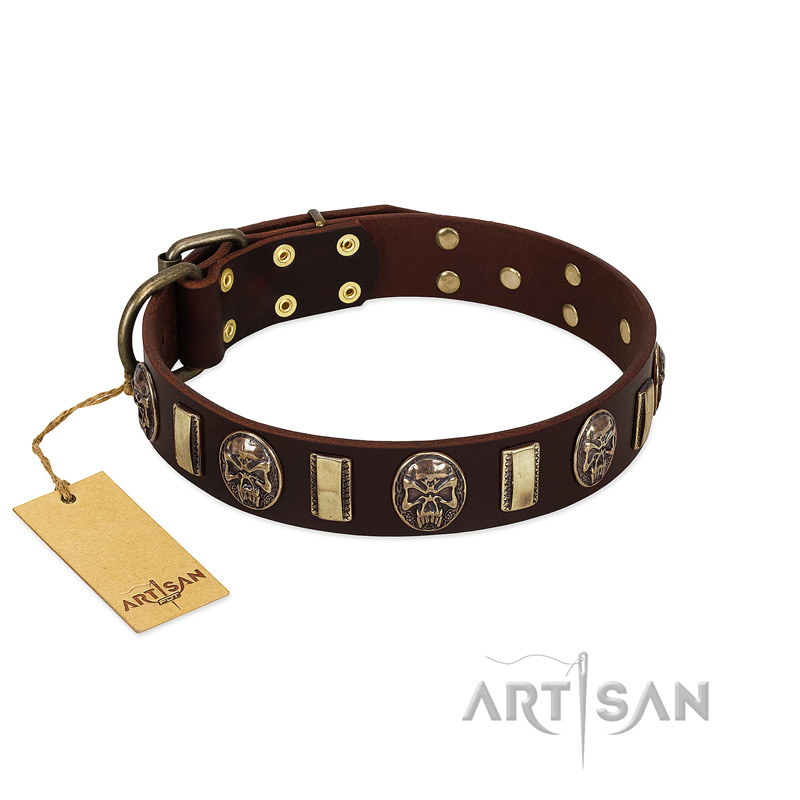 "Skull's Adventure" FDT Artisan Brown Leather Bulldog Collar with Plates and Ovals