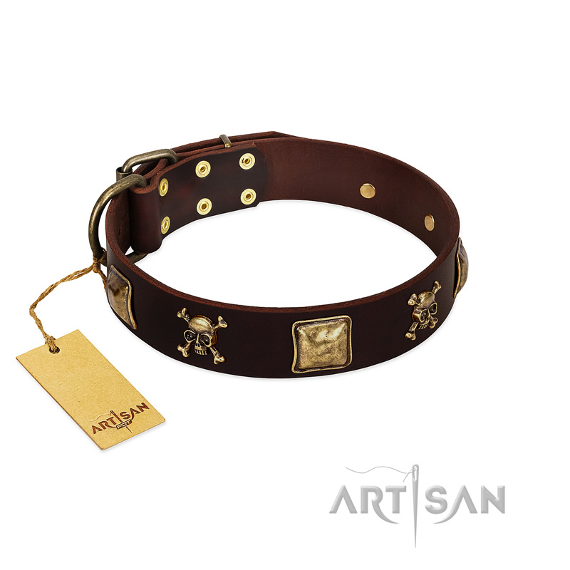 "Crazy Pirate" FDT Artisan Brown Leather Bulldog Collar with Old Bronze-Plated Skulls and Plates